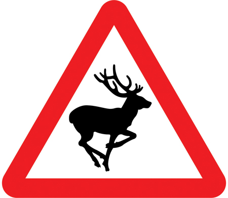 Wild animals likely to be in road ahead sign